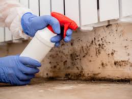 Asbestos and Lead Testing During Mold Inspection in Englewood, FL